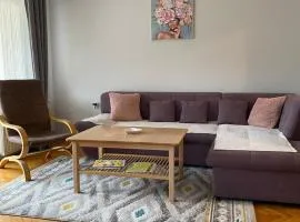Viola 144