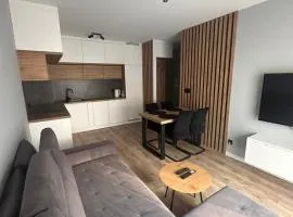 Studio 73