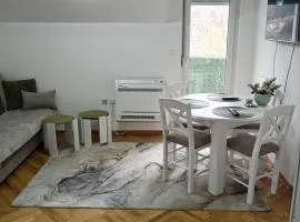 Apartman Mitić