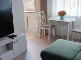 Taikos APARTAMENTAI