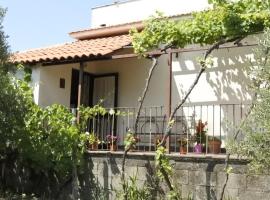 Etna Evergreen Casa Vacanze, hotel in Piedimonte Etneo