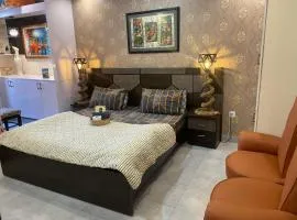 Elegant Retreat 203 Suite Apartment