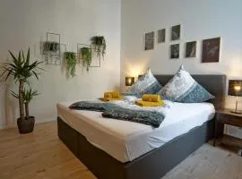 Hogulu - STILVOLL UND ZENTRAL - 3-RAUM Appartement 1