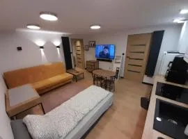 Apartament typu suite BRIDGE dla 4-5 OSÓB