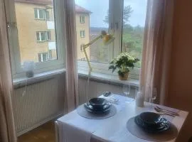 Borås Studio Apartment