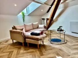 Le SILVA Centre ville Lumineux Wifi et Netflix