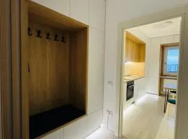 Central Apartment - Palas Mall