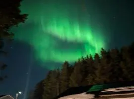 Nordic character