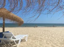 Luxury Beach Apartment