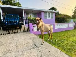 Purple Sunset - Walk to Malecon & Beaches