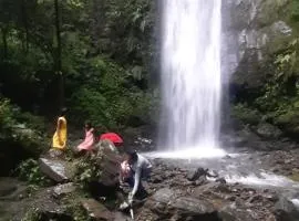 Pine hills nature camp