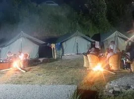 Pine hills nature camp