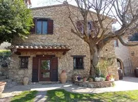 All'Ombra di San Damiano