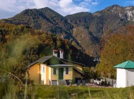 Ferienhaus Alexandra in Ebensee、エーベンゼーのコテージ