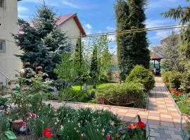 Vila Negru