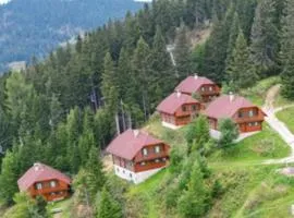 Almhüttendorf Klippitztörl