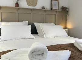 Appartement T1 Côté jardin à Thionville