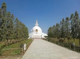 Golden Buddha Hotel