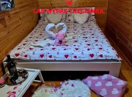 Noclegi "LAS WYPAS" Trzcianka