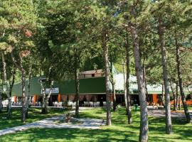 Hotel Carnia, hotel in Venzone