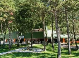 Hotel Carnia