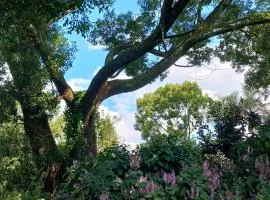 Braemar House Howick