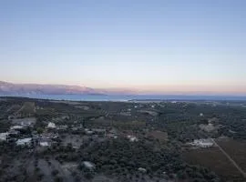 Amara Haven