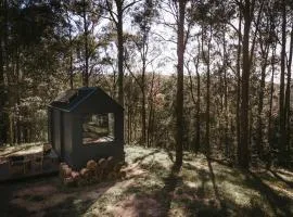 Unyoked Yarramalong - Central Coast Hinterland - The Reserve