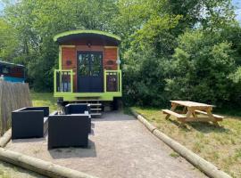 le domaine des drôles de dames, pet-friendly hotel in Buding