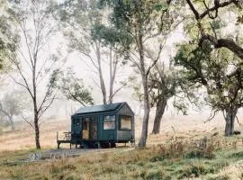 Lakeside Off-Grid Cabin - Pet Friendly - Freja