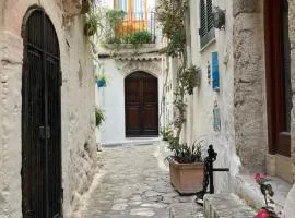Casa Livia Sperlongaresort