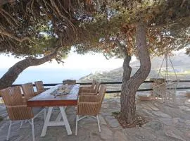 Thealos view