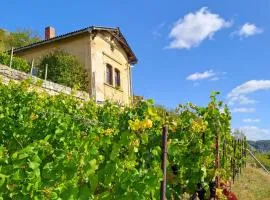 Ferienhaus und Straußwirtschaft im Weinberg