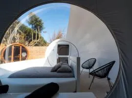 Bubblesuite47