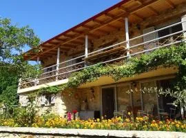 Arkadia traditional & modern stone House in Agridi