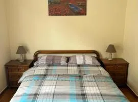Remoundou 18 rental room