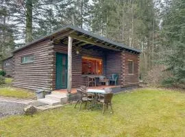 Forest Cabin