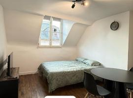 Roguet Studio Hypercentre Orléans, hotel in Orléans