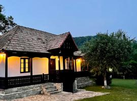 Casa Traditionala Klaus, hotel din Trăisteni