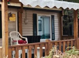 mobil-home 43