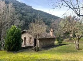Molí d'en Puig