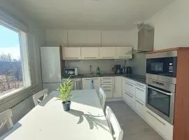 Koivukuja