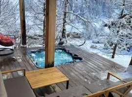 Ski-in/Ski-out Chalet, Quiet Location, and Jacuzzi