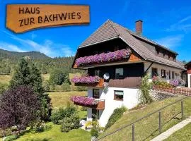 Aufblühen in Menzenschwand