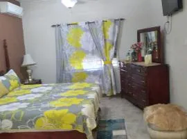 Room in House - Charming Kingston Room for Rent - Private Entrance Full Access