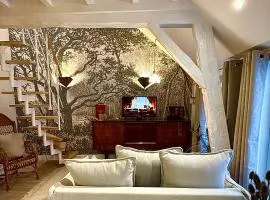 Élégant appartement lumineux hypercentre Orléans