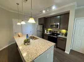 Spring Cozy Modern 1BR Long-term stay