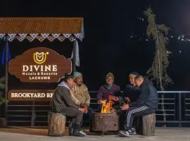 Divine Brookyard Resort