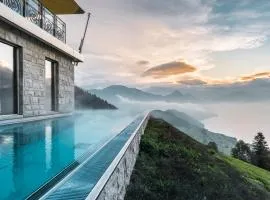 Hotel Villa Honegg