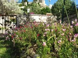 Pause couleur Lavandula